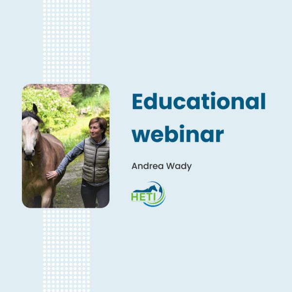 Enriching connection with our equine partners