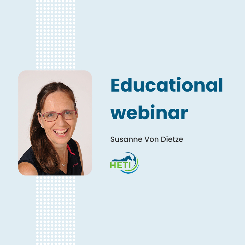 The Horse’s Movement and how it Influences the rider