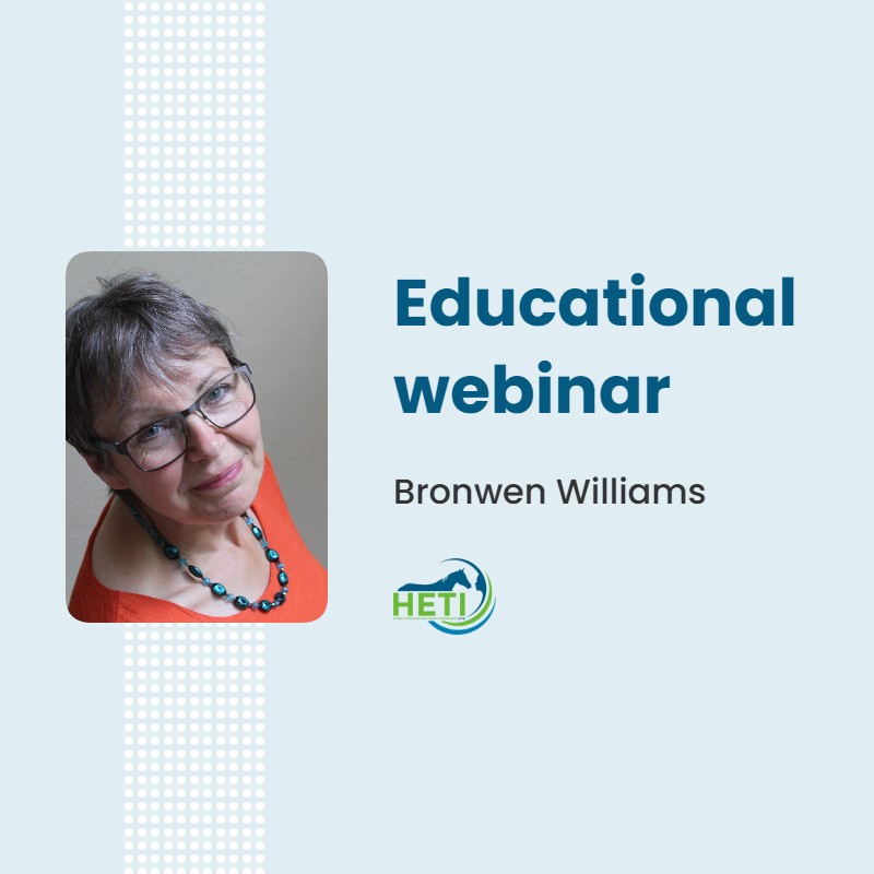 Helping People to make changes for the best outcomes for horses and humans