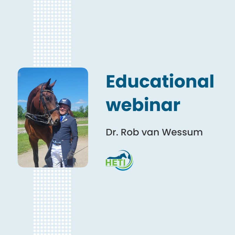 From Withers to Wellness: Understanding and managing the horse's back