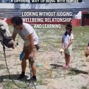 From Control to Understanding  Looking Without Judging: Wellbeing, Relationship, and Learning