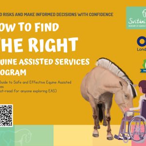 Your Guide to Safe and Effective Equine Assisted Services (E-BOOK)