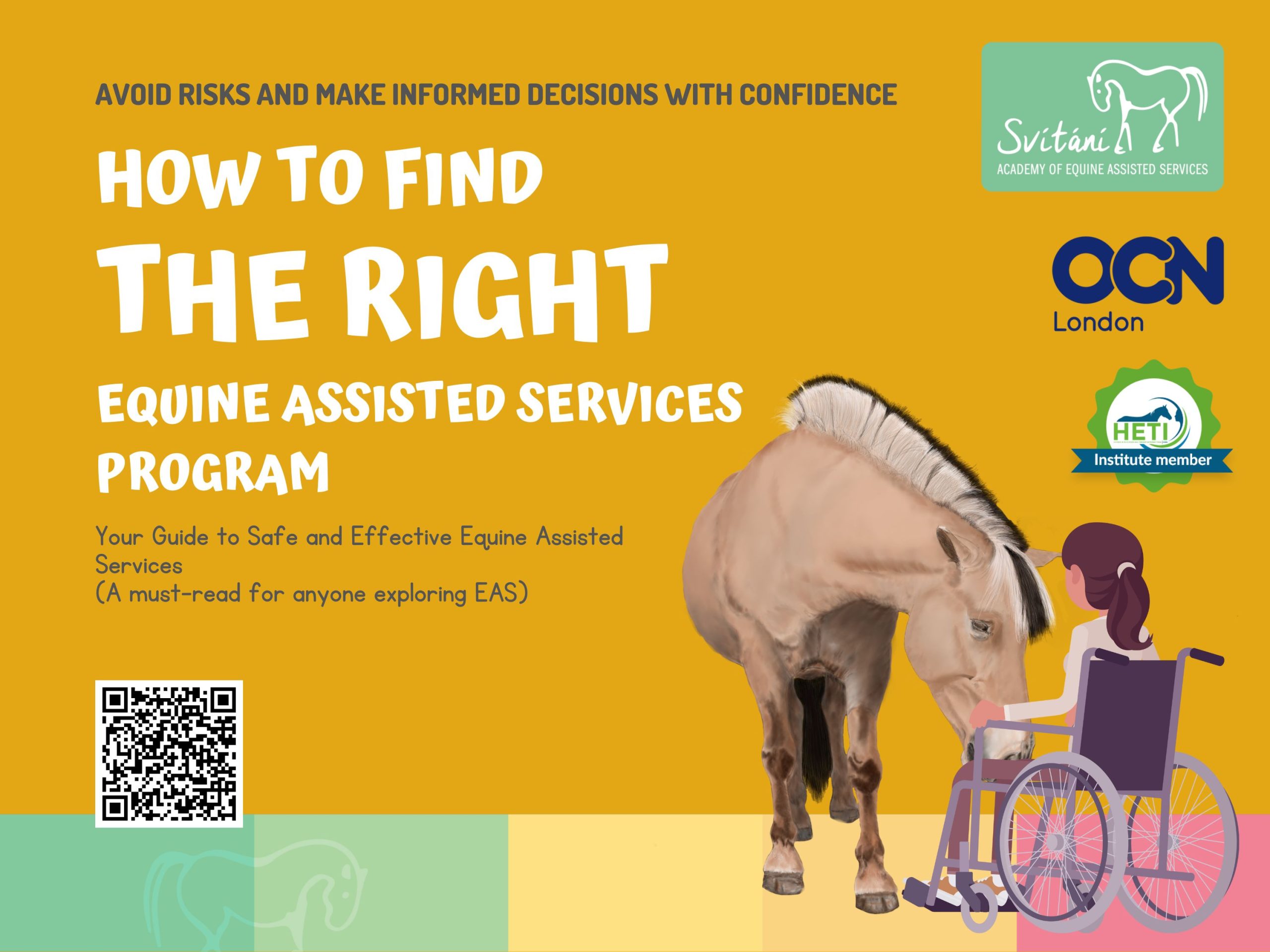 Your Guide to Safe and Effective Equine Assisted Services (E-BOOK)